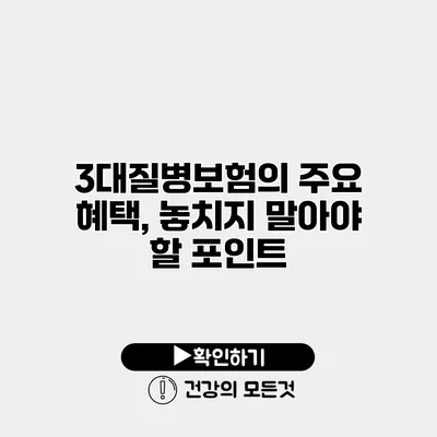 3대질병보험의 주요 혜택, 놓치지 말아야 할 포인트