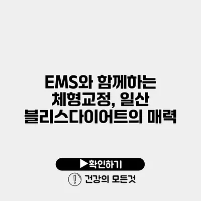 EMS와 함께하는 체형교정, 일산 블리스다이어트의 매력