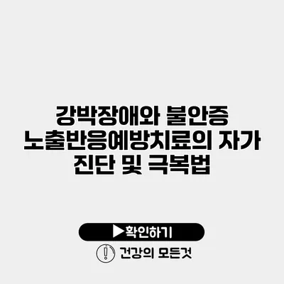 강박장애와 불안증 노출반응예방치료의 자가 진단 및 극복법
