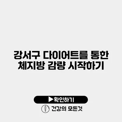 강서구 다이어트를 통한 체지방 감량 시작하기