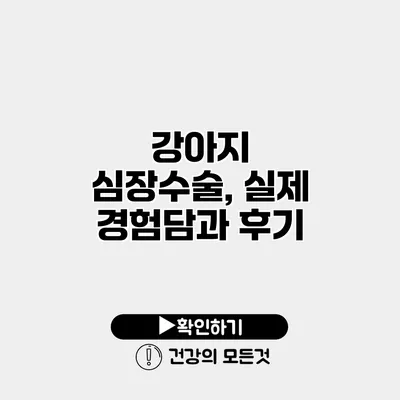강아지 심장수술, 실제 경험담과 후기