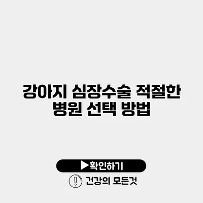 강아지 심장수술 적절한 병원 선택 방법