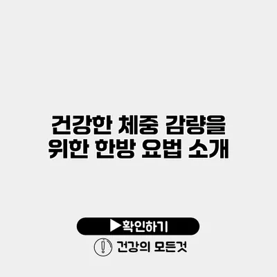 건강한 체중 감량을 위한 한방 요법 소개