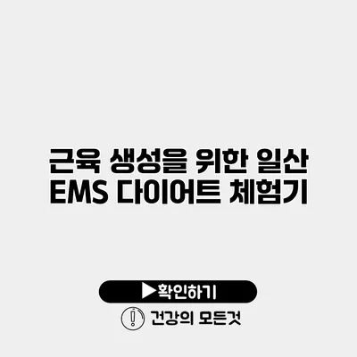 근육 생성을 위한 일산 EMS 다이어트 체험기