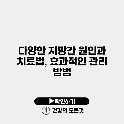 다양한 지방간 원인과 치료법, 효과적인 관리 방법