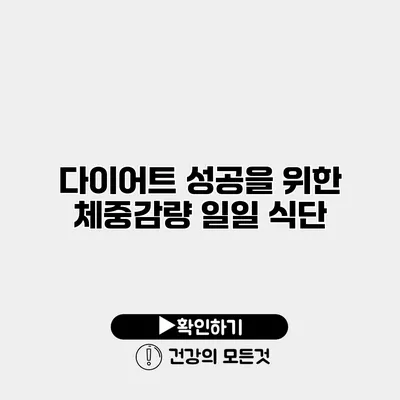 다이어트 성공을 위한 체중감량 일일 식단