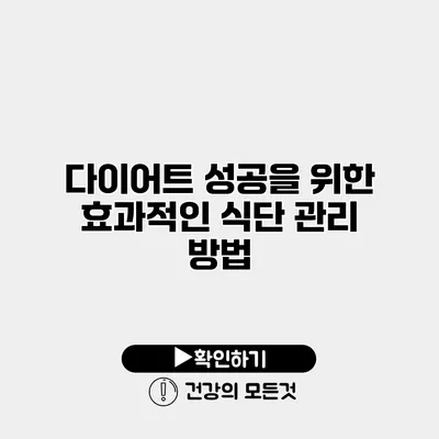 다이어트 성공을 위한 효과적인 식단 관리 방법