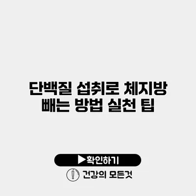 단백질 섭취로 체지방 빼는 방법 실천 팁