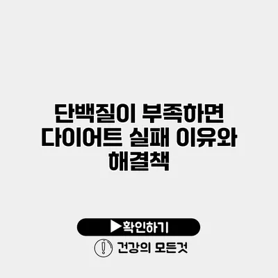 단백질이 부족하면 다이어트 실패? 이유와 해결책