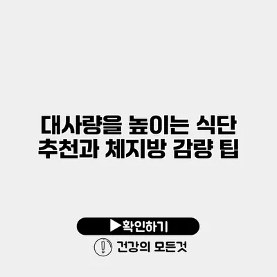대사량을 높이는 식단 추천과 체지방 감량 팁