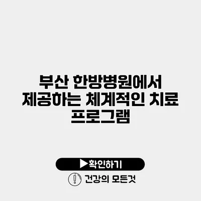 부산 한방병원에서 제공하는 체계적인 치료 프로그램