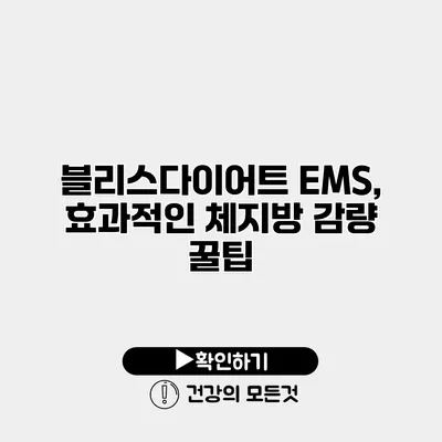 블리스다이어트 EMS, 효과적인 체지방 감량 꿀팁
