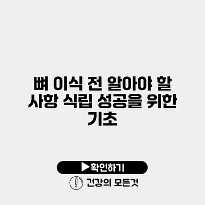 뼈 이식 전 알아야 할 사항 식립 성공을 위한 기초