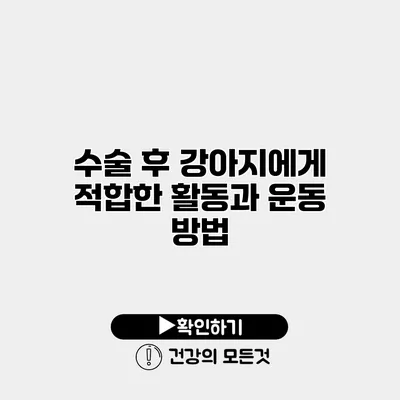 수술 후 강아지에게 적합한 활동과 운동 방법