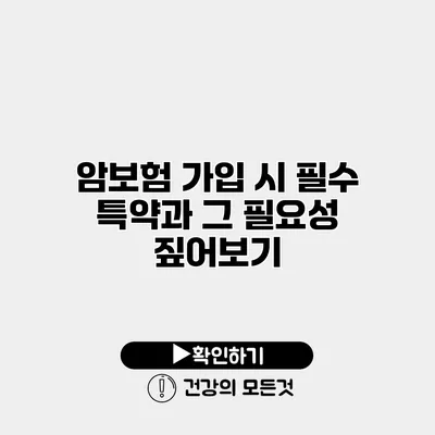 암보험 가입 시 필수 특약과 그 필요성 짚어보기