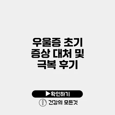 우울증 초기 증상 대처 및 극복 후기
