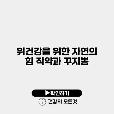 위건강을 위한 자연의 힘 작약과 꾸지뽕