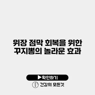 위장 점막 회복을 위한 꾸지뽕의 놀라운 효과