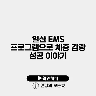일산 EMS 프로그램으로 체중 감량 성공 이야기