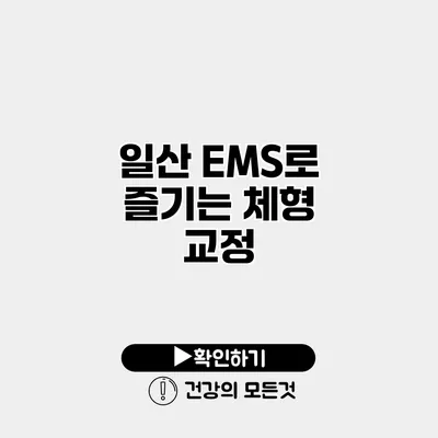 일산 EMS로 즐기는 체형 교정