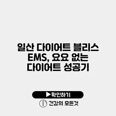 일산 다이어트 블리스 EMS, 요요 없는 다이어트 성공기