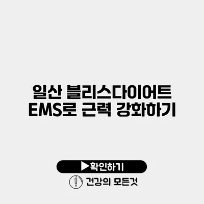 일산 블리스다이어트 EMS로 근력 강화하기