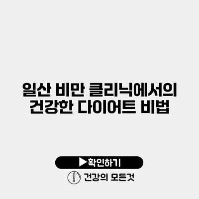 일산 비만 클리닉에서의 건강한 다이어트 비법