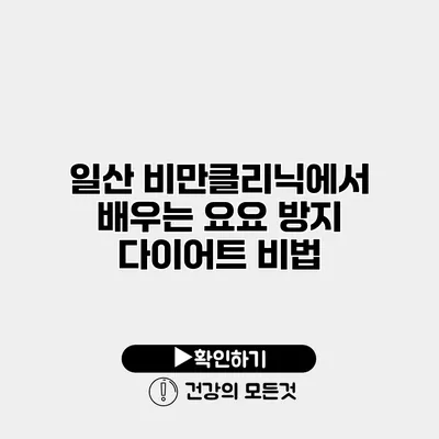 일산 비만클리닉에서 배우는 요요 방지 다이어트 비법