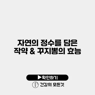자연의 정수를 담은 작약 & 꾸지뽕의 효능