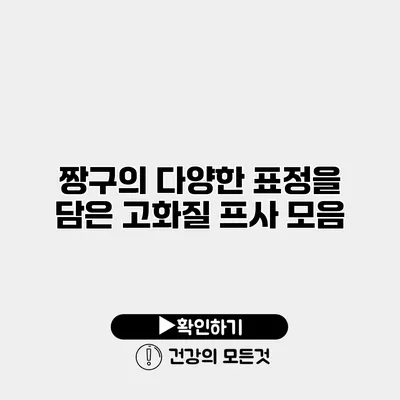 짱구의 다양한 표정을 담은 고화질 프사 모음