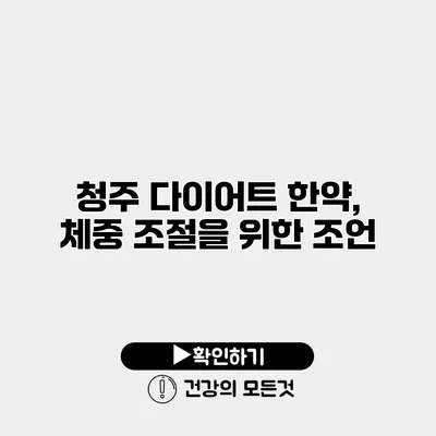 청주 다이어트 한약, 체중 조절을 위한 조언