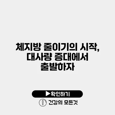 체지방 줄이기의 시작, 대사량 증대에서 출발하자