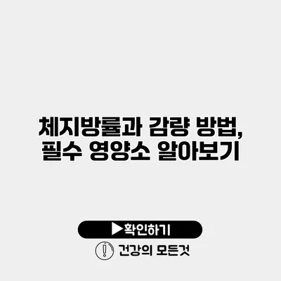 체지방률과 감량 방법, 필수 영양소 알아보기