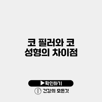 코 필러와 코 성형의 차이점