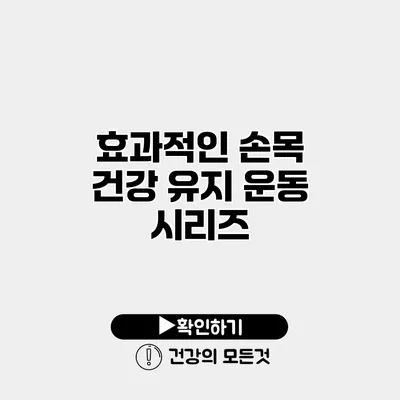 효과적인 손목 건강 유지 운동 시리즈