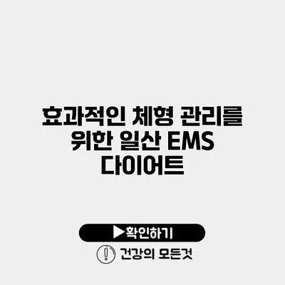 효과적인 체형 관리를 위한 일산 EMS 다이어트