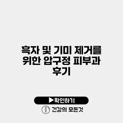 흑자 및 기미 제거를 위한 압구정 피부과 후기
