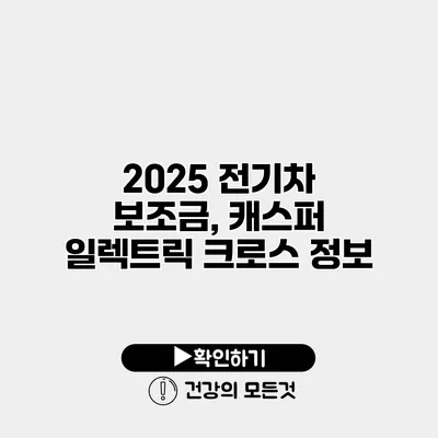 2025 전기차 보조금, 캐스퍼 일렉트릭 크로스 정보