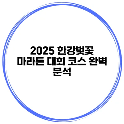 2025 한강벚꽃 마라톤 대회 코스 완벽 분석