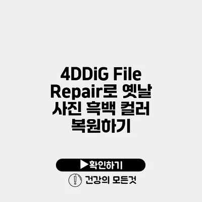 4DDiG File Repair로 옛날 사진 흑백 컬러 복원하기