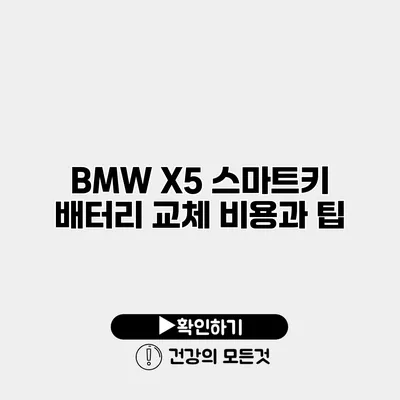 BMW X5 스마트키 배터리 교체 비용과 팁