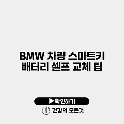 BMW 차량 스마트키 배터리 셀프 교체 팁