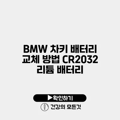 BMW 차키 배터리 교체 방법 CR2032 리튬 배터리