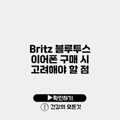Britz 블루투스 이어폰 구매 시 고려해야 할 점