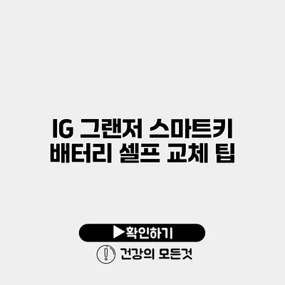 IG 그랜저 스마트키 배터리 셀프 교체 팁