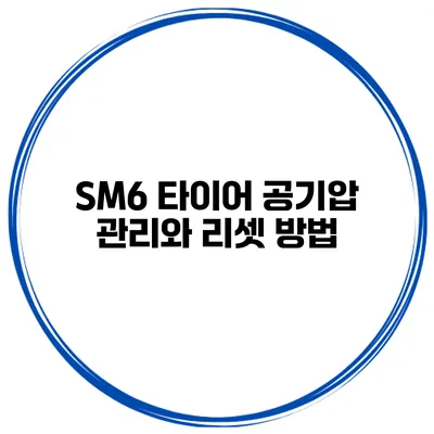 SM6 타이어 공기압 관리와 리셋 방법