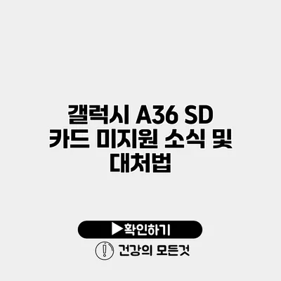 갤럭시 A36 SD 카드 미지원 소식 및 대처법