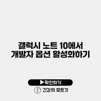 갤럭시 노트 10에서 개발자 옵션 활성화하기