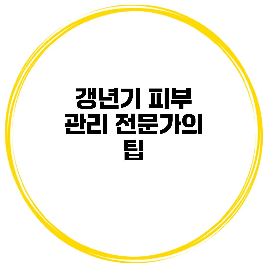 갱년기 피부 관리: 전문가의 팁