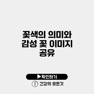 꽃색의 의미와 감성 꽃 이미지 공유